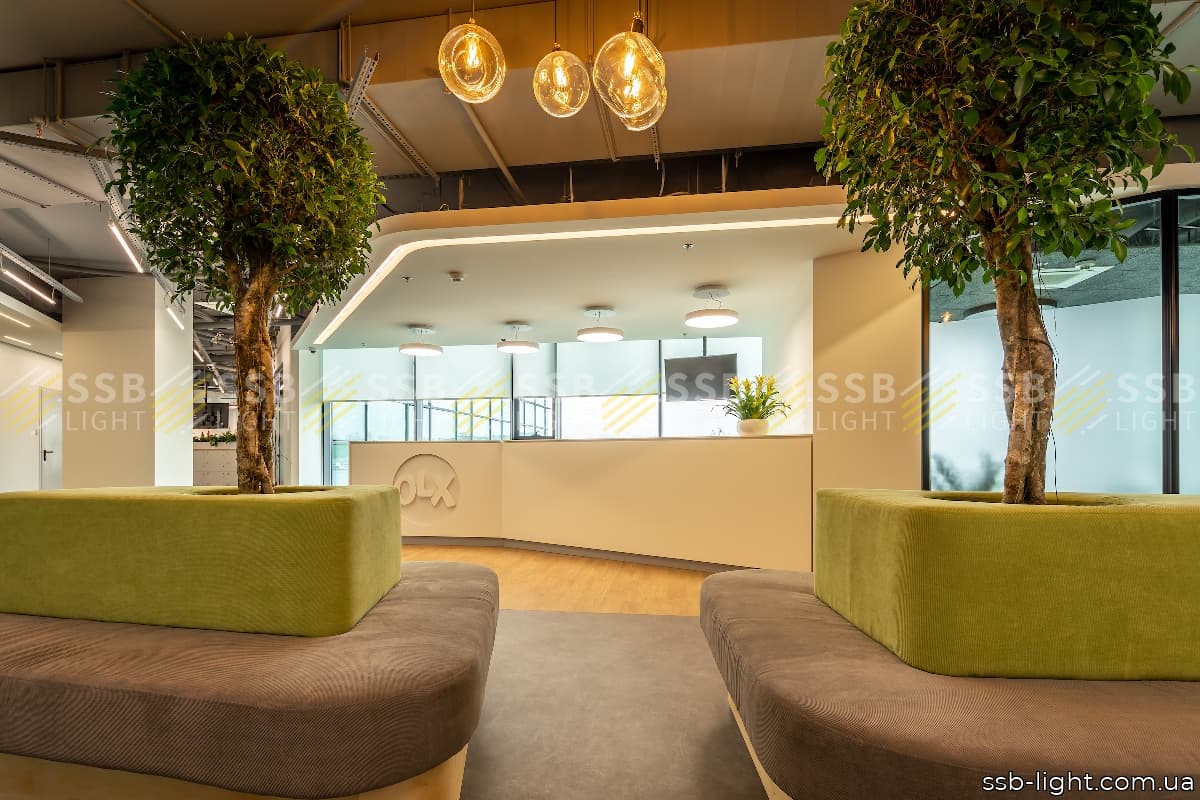 20191005-OLX_office-9D0A7078-HDR